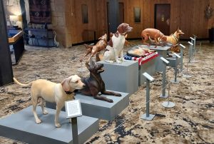 20250228_175735 (1280x861)