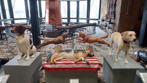 20250301_122148 (1280x720)